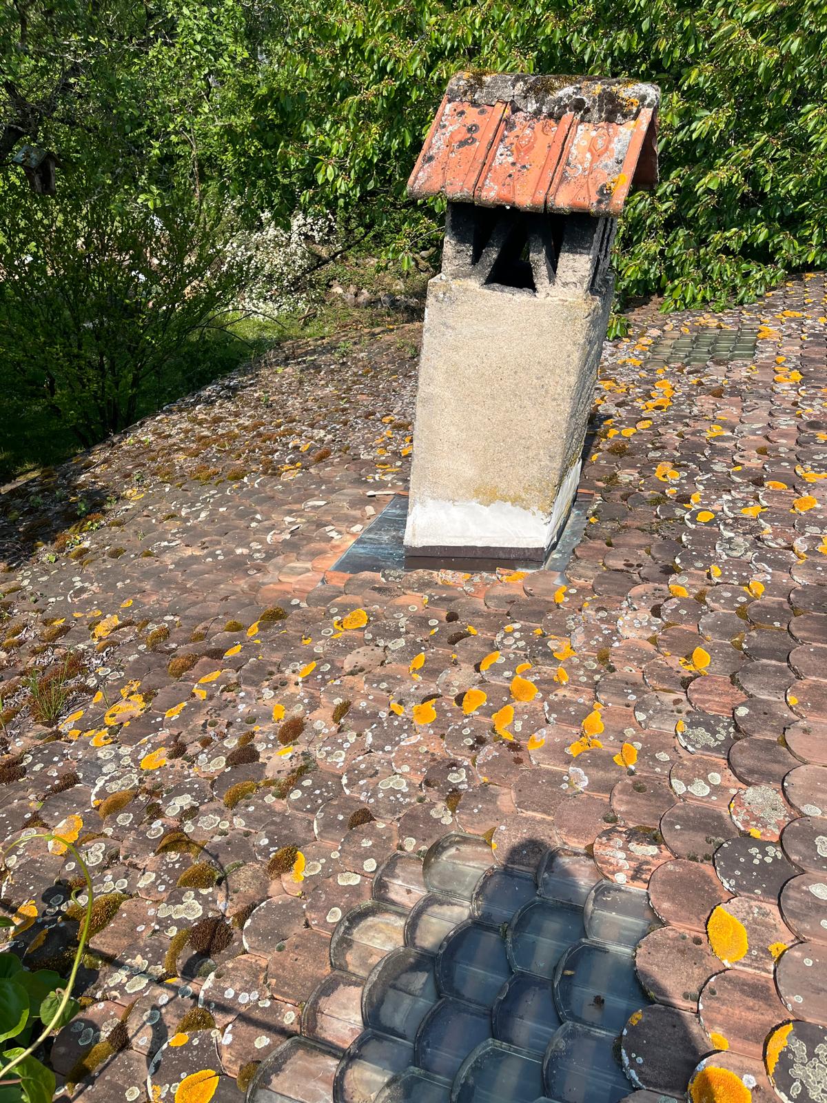 Toiture et cheminée couvertes de mousse et de lichen avant nettoyage