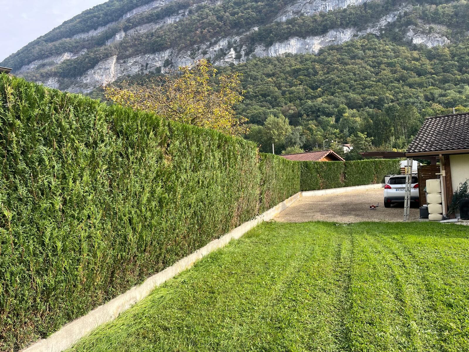 Haie de thuyas taillée droite devant un jardin tondu face à la montagne en Haute-Savoie