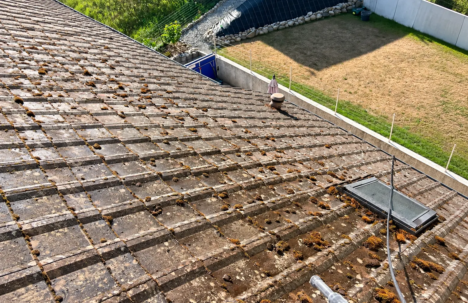 Toiture en tuiles envahie par la mousse avant démoussage