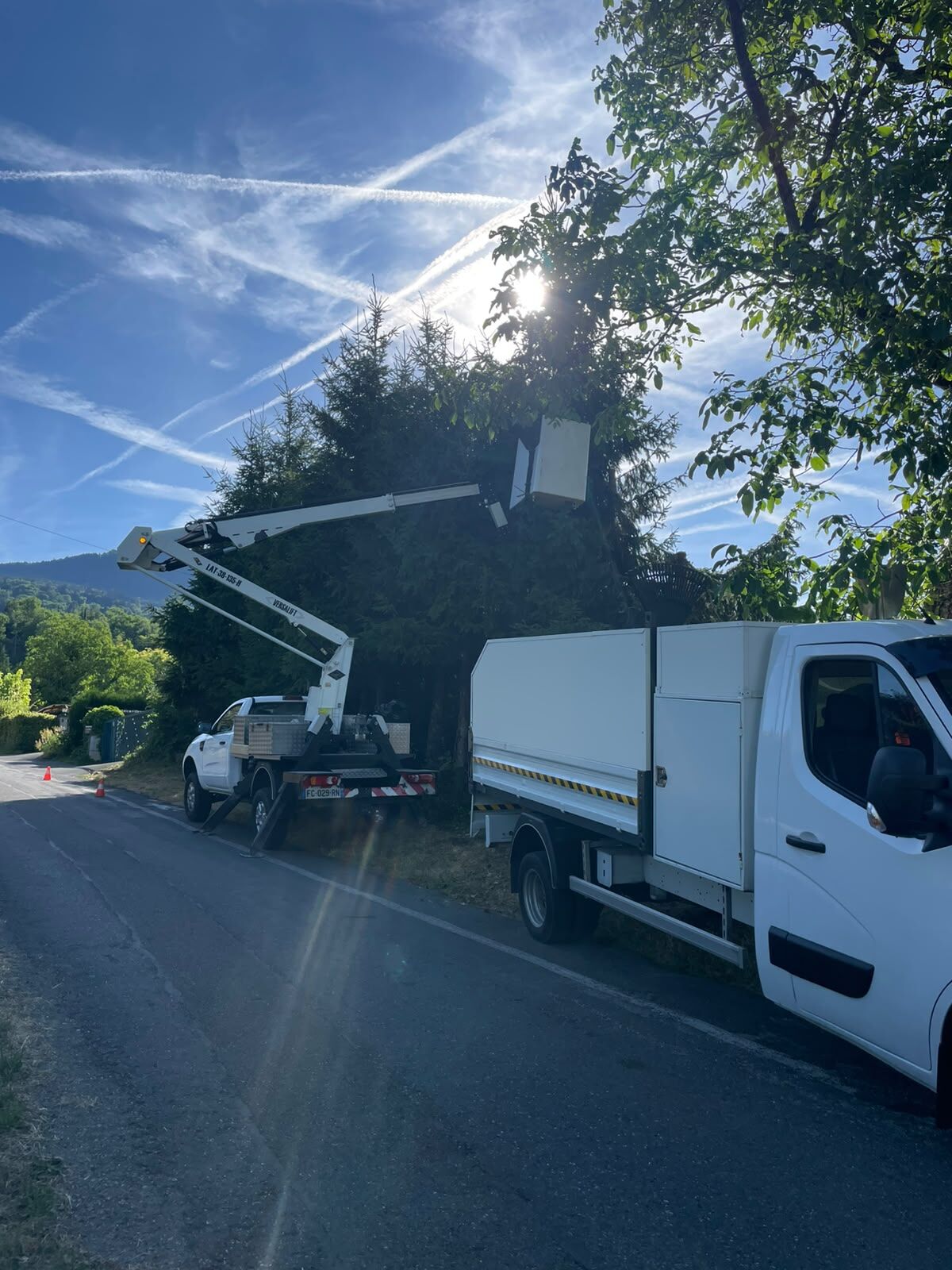 Nacelle élévatrice et camion benne DC PRO NET sur un chantier d'élagage en Haute-Savoie